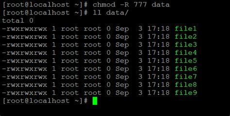 chmod 777 rekursiv|linux .